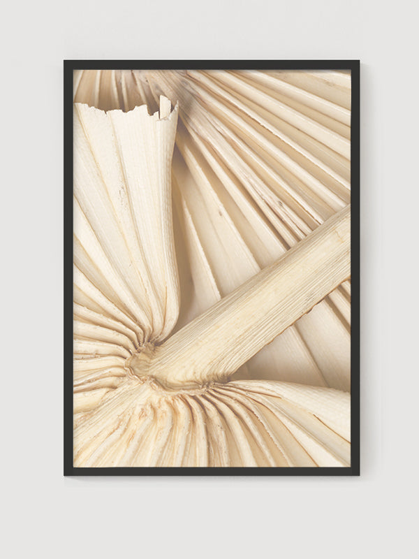 Doku Posteri