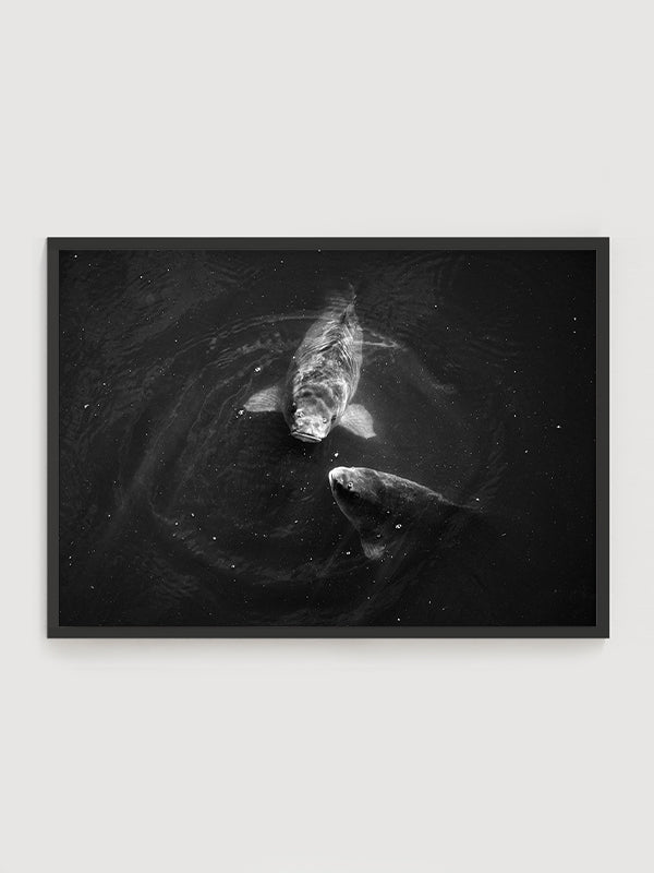 Peeking Poster