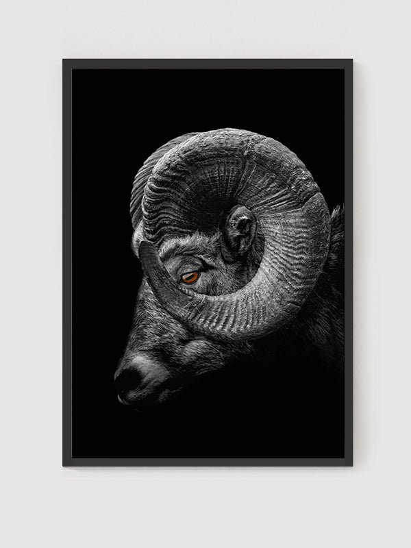 Ram Poster