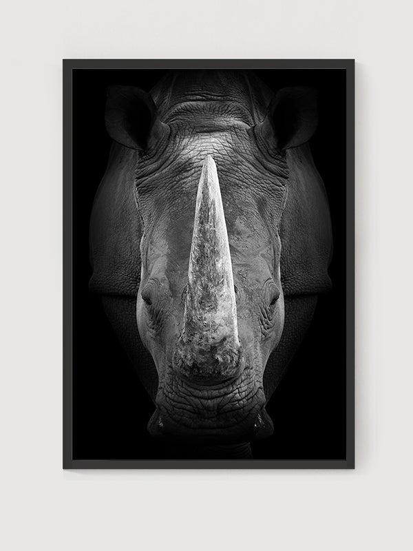 Rhino Poster